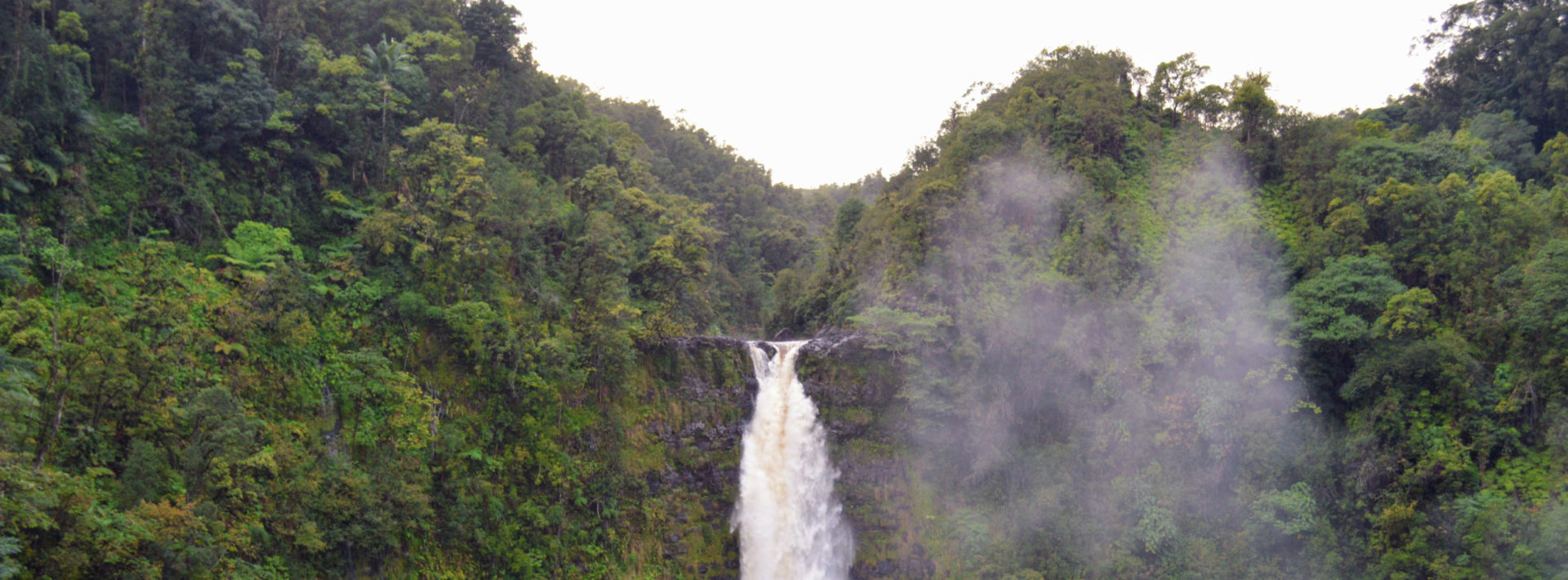 TREX 2018 Day 6: Don’t go chasing waterfalls