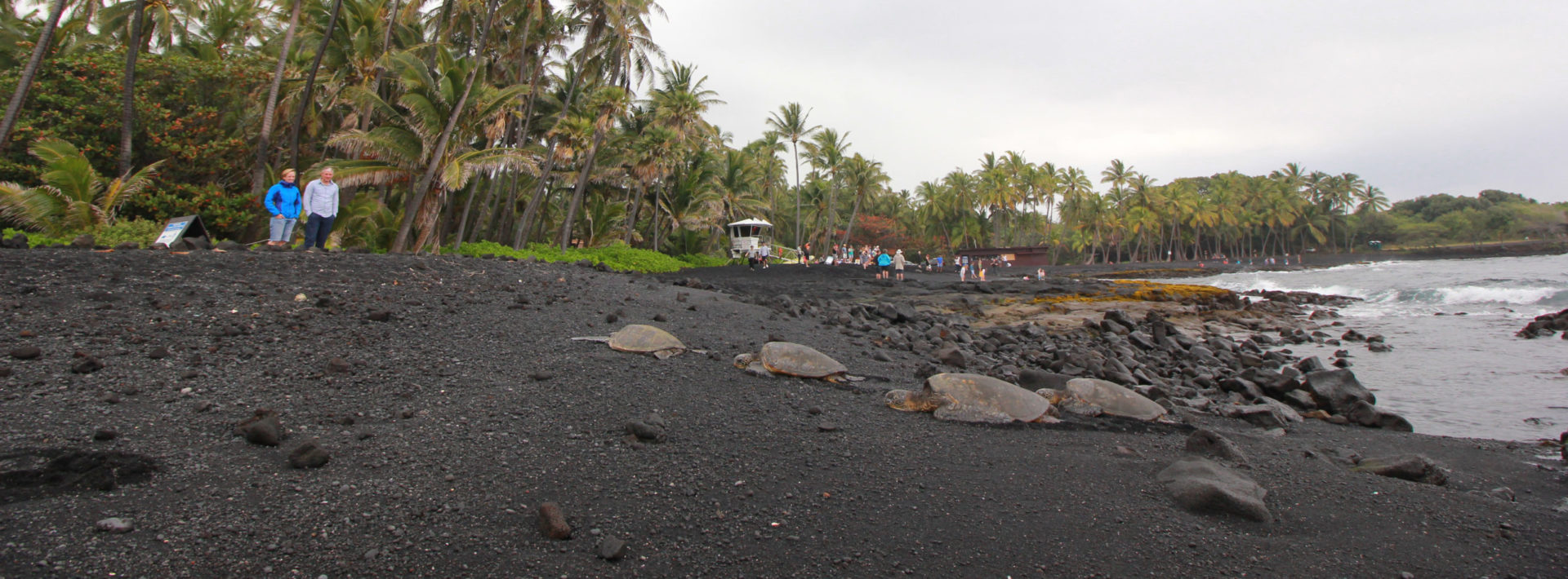 TREX 2018 Day 6: The Black Sand Beach