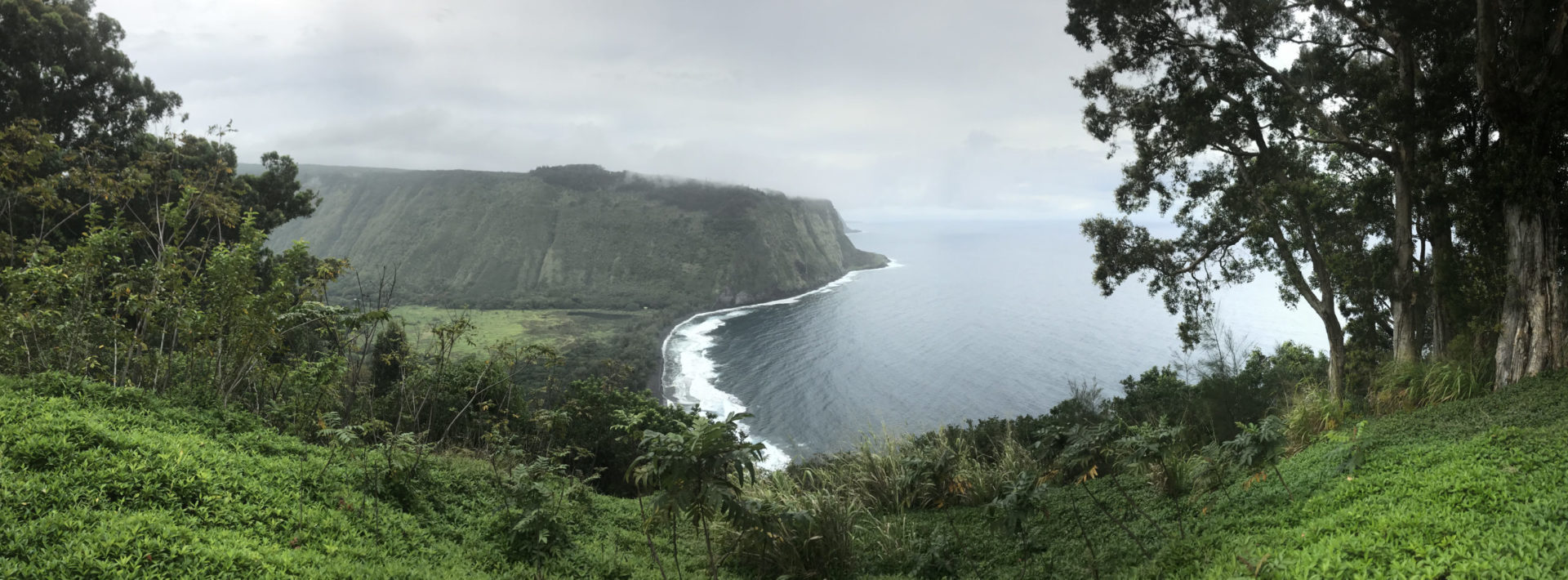 TREX 2018 Day 9: Happy to be in Hapuna!