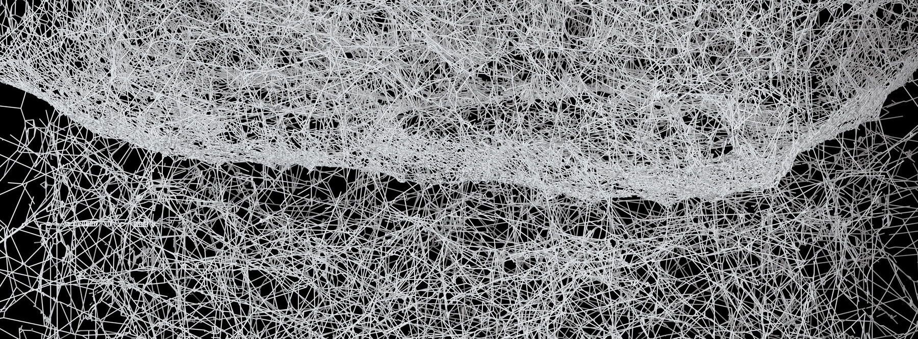 Professor Markus Buehler and his Laboratory for Atomistic and Molecular Mechanics published research that shows the 3D architecture of spider webs