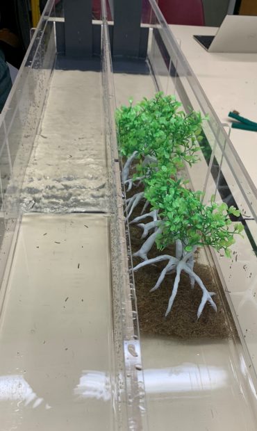 Small mangrove tree replicas placed on makeshift soil inside a demonstration water flume