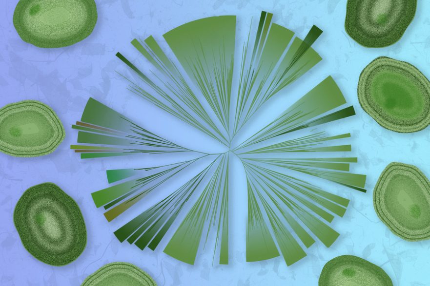 Green bacteria blobs surround a circular, branching, pie chart with dozens of slices.