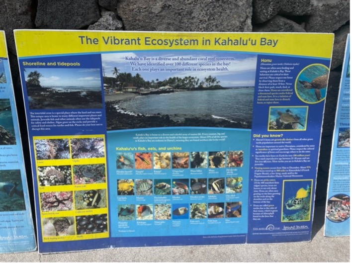 A sign describing the marine ecosystem, including the fish and coral, of Kahalu'u Bay.
