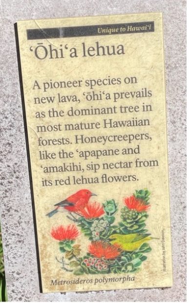Sign of ʻōhiʻa lehua, a plant unique to Hawai'i, at the Hawai'i Volcanoes National Park.