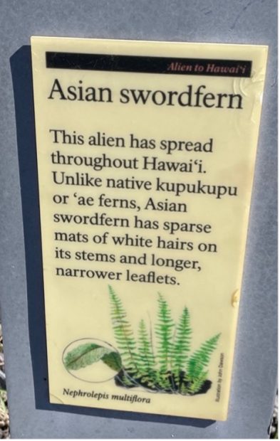 Sign of Asian swordfern, a plant alien to Hawai'i, in the Hawai'i Volcanoes National Park.