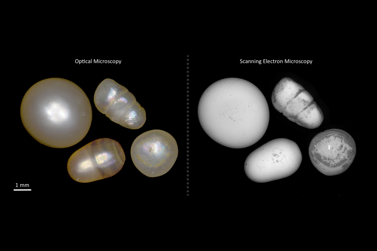 Exploring the nanoworld of biogenic gems