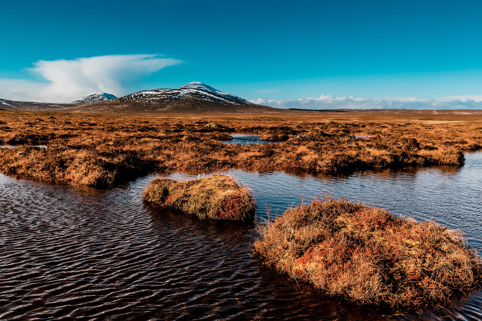 Satellite-based method measures carbon in peat bogs
