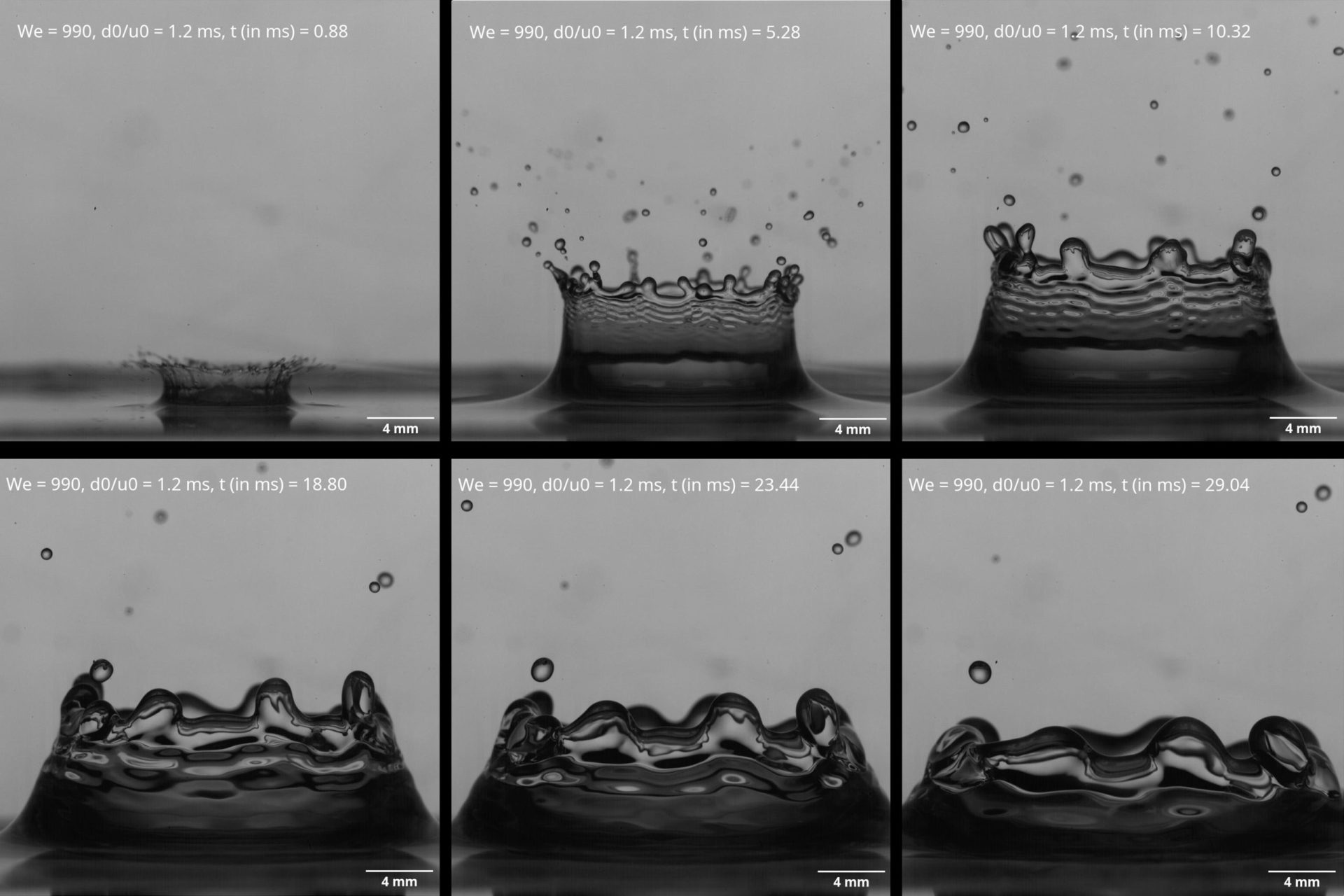 High-speed videos show what happens when a droplet splashes into a pool