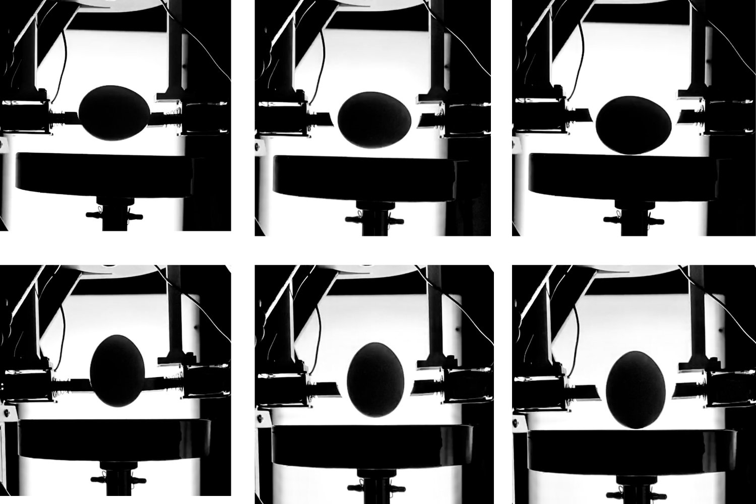 MIT engineering students crack egg dilemma, finding sideways is stronger