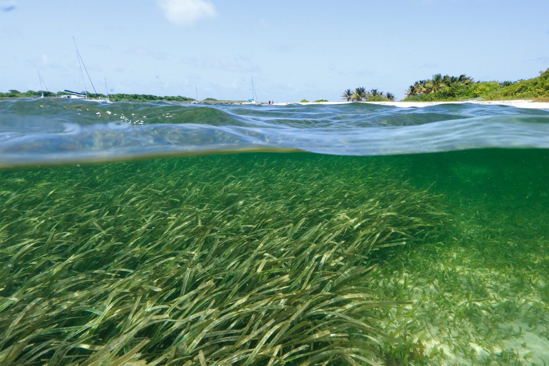 Study helps pinpoint areas where microplastics will accumulate