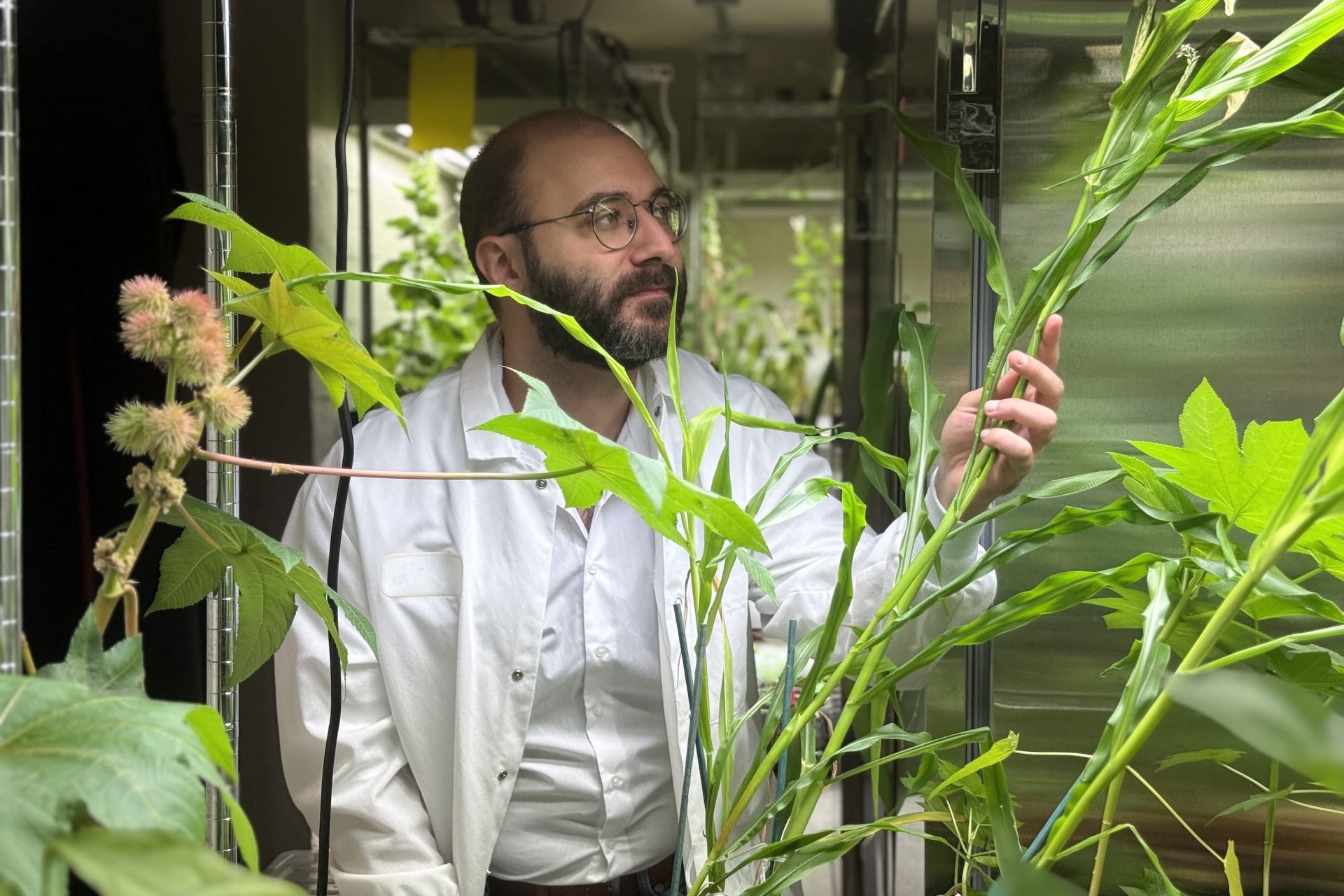 Engineering next-generation fertilizers